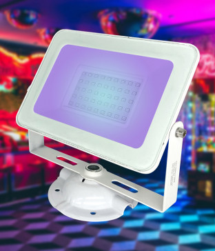카스텔 DC 12V UV 블랙라이트 투광기(30W)